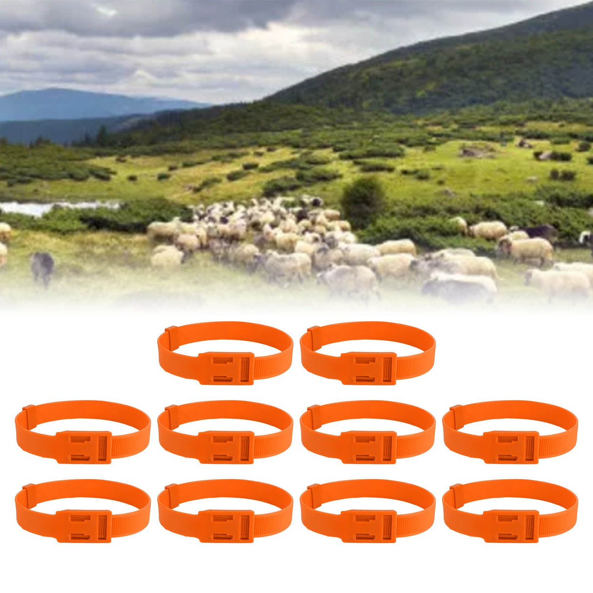 10PCS Goat Collar PU 23 Inch Adjustable Livestock Collar for Farm Animal Cow Horse Sheep Orange