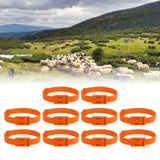 10PCS Goat Collar PU 23 Inch Adjustable Livestock Collar for Farm Animal Cow Horse Sheep Orange