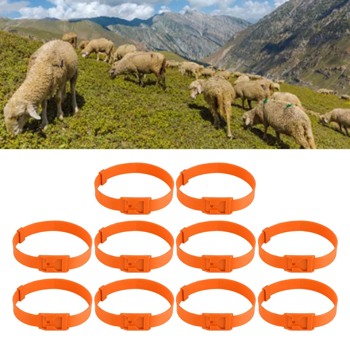 10PCS Goat Collar PU 23 Inch Adjustable Livestock Collar for Farm Animal Cow Horse Sheep Orange