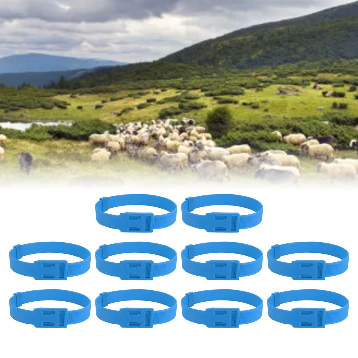 10PCS Goat Collar PU 23 Inch Adjustable Livestock Collar for Farm Animal Cow Horse Sheep Blue