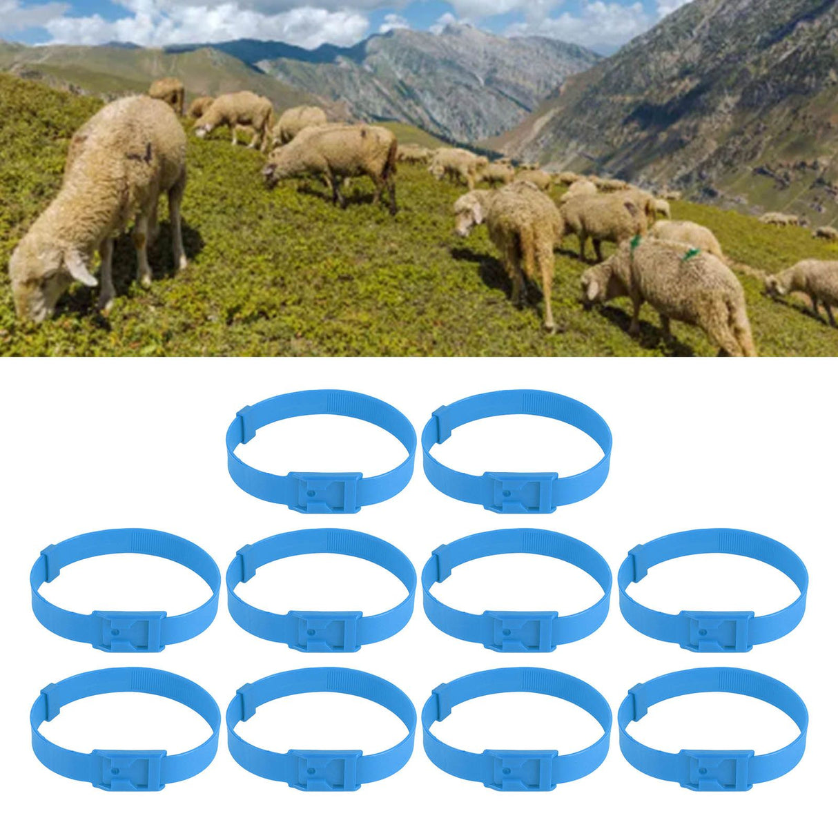 10PCS Goat Collar PU 23 Inch Adjustable Livestock Collar for Farm Animal Cow Horse Sheep Blue