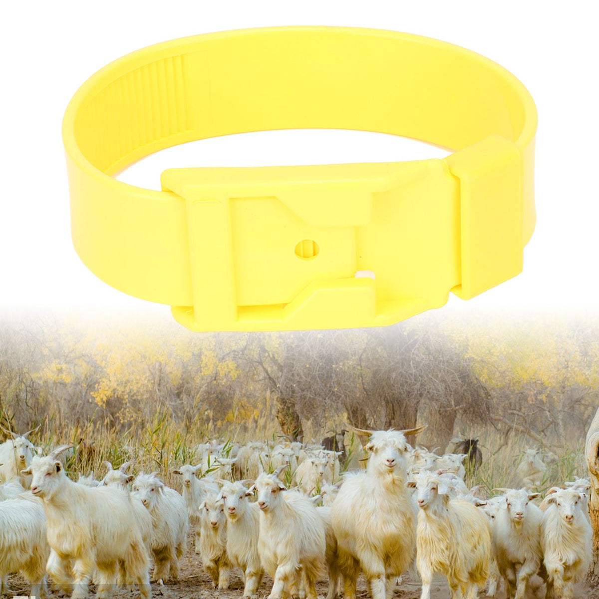 10Pcs Goat Collar Sheep Identification Bands Livestock Marking Ring Farming Equipment 36cm Yellow