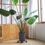 Flower Pot Roller Stand 50kg Load Capacity Rust Prevention Iron Easy to Move Plant Caddy with Wheels for Wine Barrels