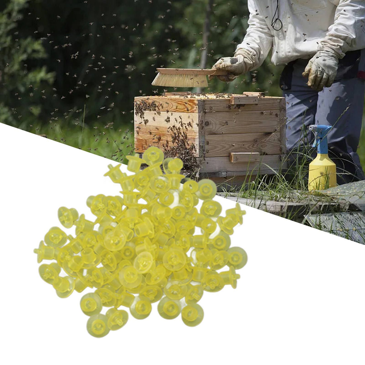 100PCS Queen Bee Rearing Cup Plastic Vivid Color Beekeeping Bee Cell Cup for Beekeeper Yellow