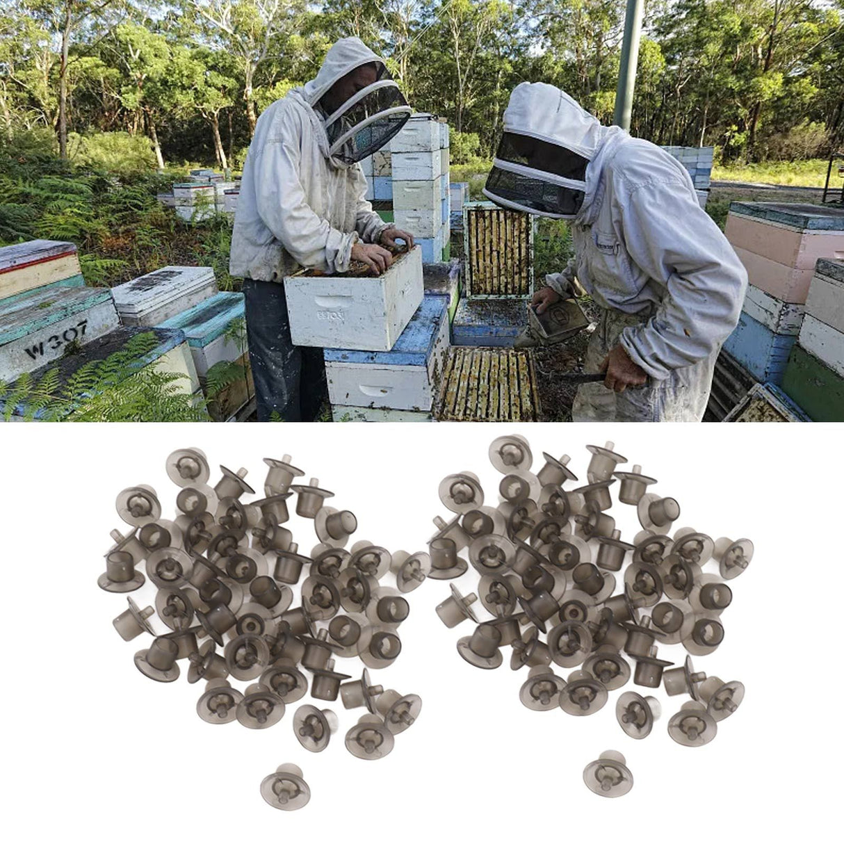 100PCS Queen Bee Rearing Cup Plastic Vivid Color Beekeeping Bee Cell Cup for Beekeeper Grey