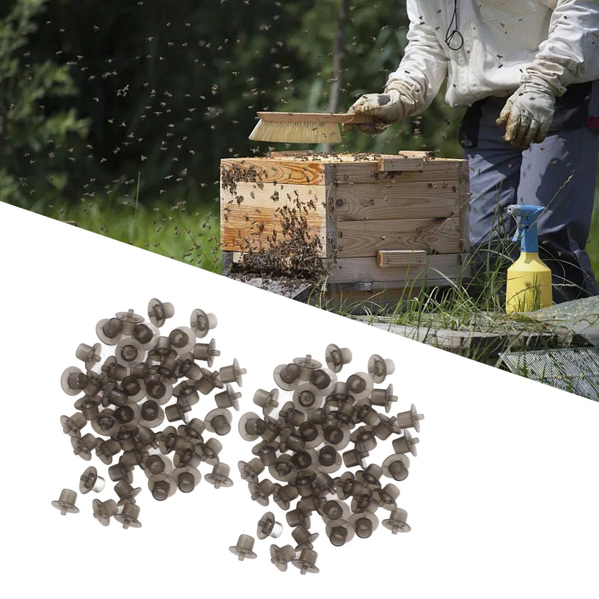 100PCS Queen Bee Rearing Cup Plastic Vivid Color Beekeeping Bee Cell Cup for Beekeeper Grey
