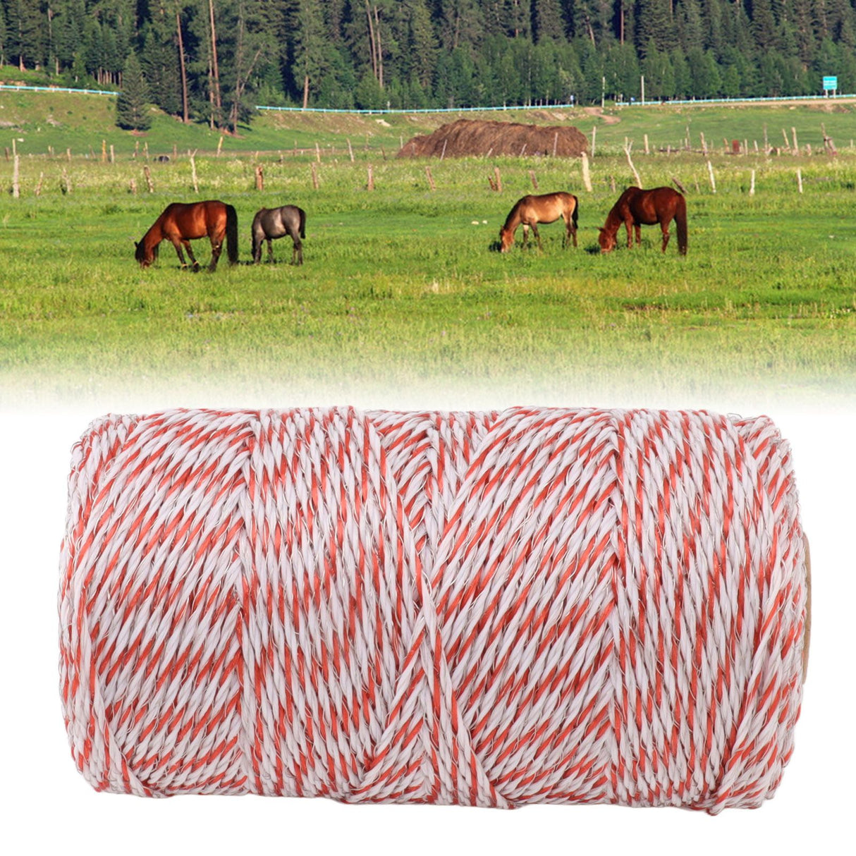 Electric Fence Polywire Rope Strong Conductivity Corrosion Resistance Stainless Steel Fence Wire for Farm Ranch