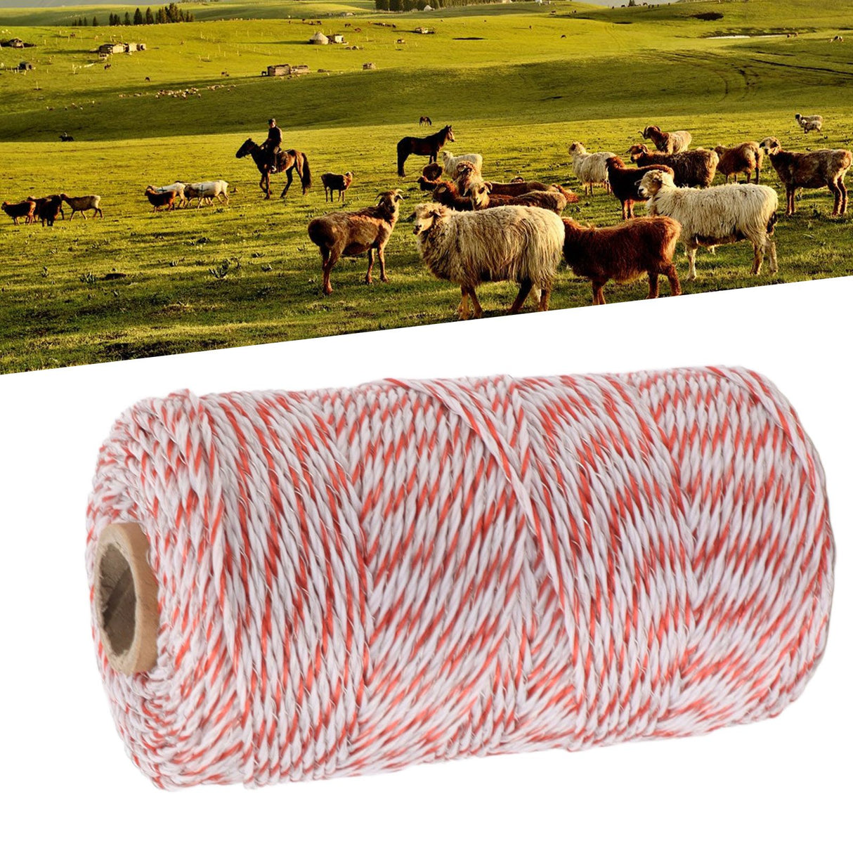 Electric Fence Polywire Rope Strong Conductivity Corrosion Resistance Stainless Steel Fence Wire for Farm Ranch
