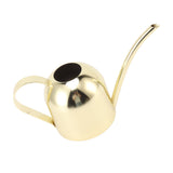 Watering Can Stainless Steel Sprinkling Pot Large Capacity Long Spout for Indoor Outdoor House Planting Gardening Gold - Top-Down View