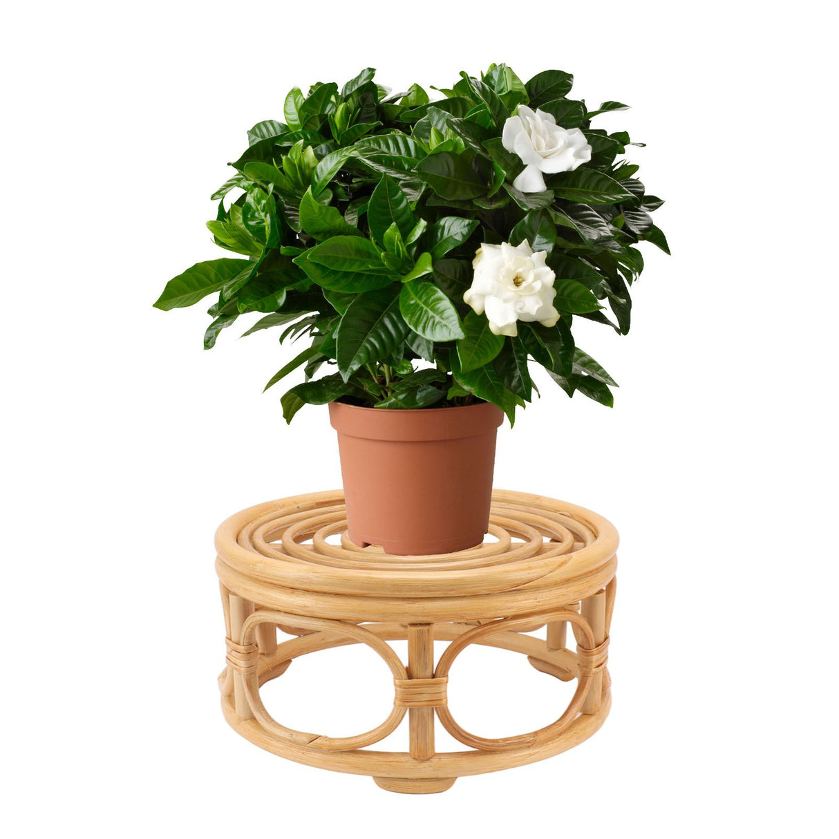 Rattan Indoor Plant Stand Round Shape Natural Plant Rack Handmade Rattan Planter Stand for Home Garden Yard Large