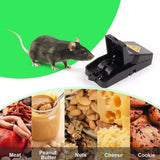 8PCS Mice Traps Small Mice Trap Indoor Quick Effective Sanitary Safe Mousetrap Catcher - Extra Image