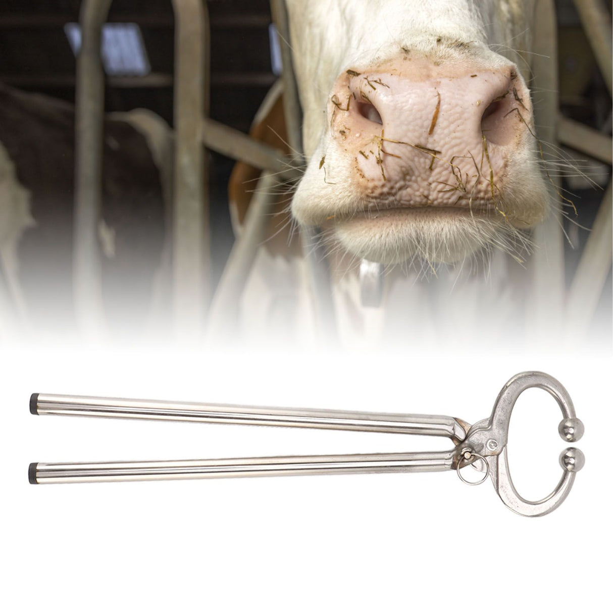 Cow Nose Plier Stainless Steel Automatic Locking Bull Cattle Nose Ring Pliers for Farm Ranch