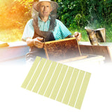 20Pcs Fluvalinate Strips Set Beekeeping Medicine Tools for Beehive Varroa Mite Removal - Extra Image