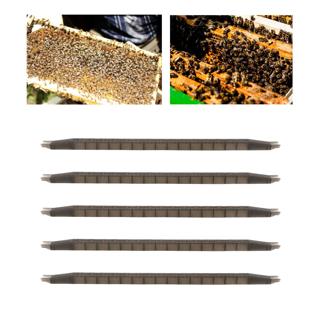 5Pcs Queen Bee Cell Cup Bar Kit with Frame 15 Holes Plastic Rearing Cage Box Beekeeping Equipments Cultivating Tools