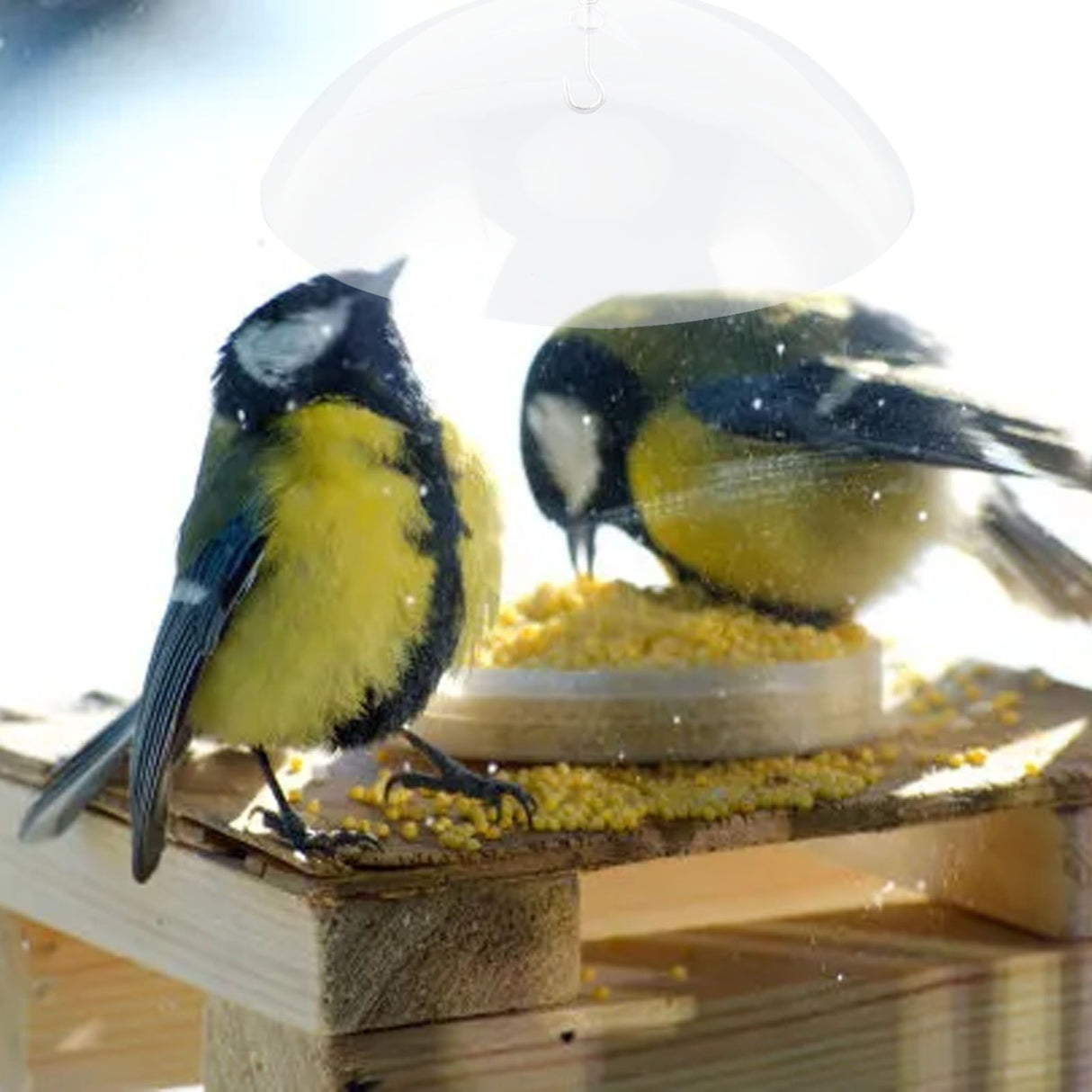 Bird Feeders Protective Cover Prevent Squirrel Clear Bird Feeder Protective Dome Cover for Hanging Bird Feeders