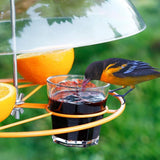 Bird Feeders Protective Cover Prevent Squirrel Clear Bird Feeder Protective Dome Cover for Hanging Bird Feeders