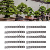 100PCS Fertilizer Mesh Basket Column Shape Stainless Steel Nutrition Box Tools for Garden Nursery Large