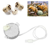 Egg Turnner Motor 4W Egg Turner Rotator Incubator Motor for Chickens Ducks Goose Birds Egg 100-120v
