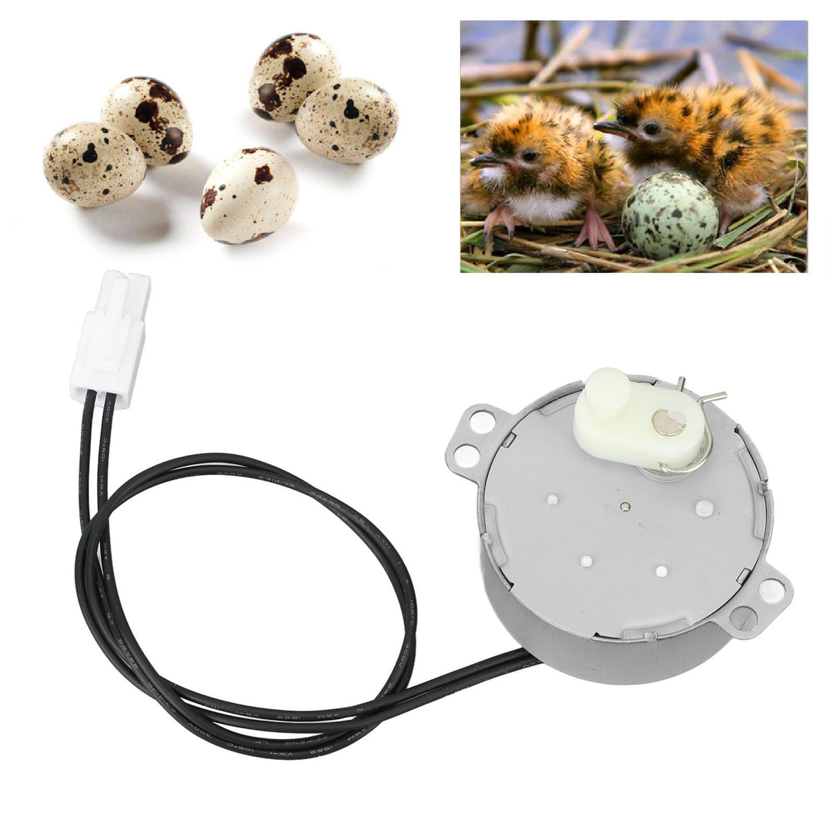 Egg Turnner Motor 4W Egg Turner Rotator Incubator Motor for Chickens Ducks Goose Birds Egg 220-240v