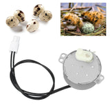 Egg Turnner Motor 4W Egg Turner Rotator Incubator Motor for Chickens Ducks Goose Birds Egg 220-240v