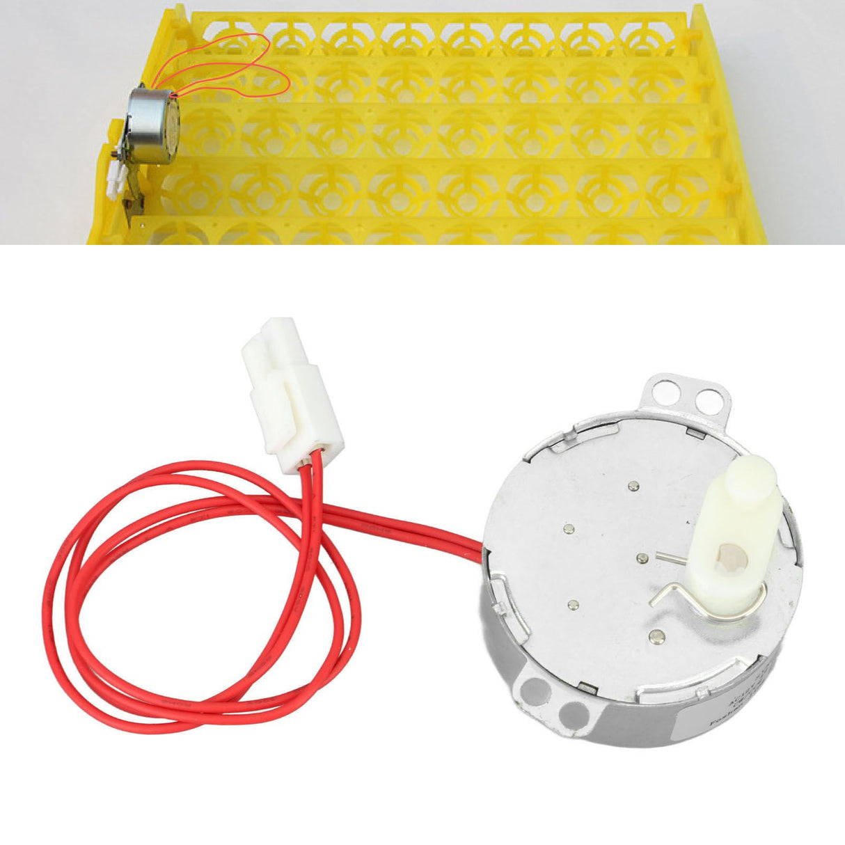 Egg Turnner Motor 4W Egg Turner Rotator Incubator Motor for Chickens Ducks Goose Birds Egg 12v