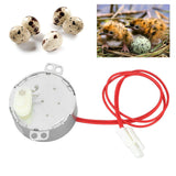 Egg Turnner Motor 4W Egg Turner Rotator Incubator Motor for Chickens Ducks Goose Birds Egg 12v