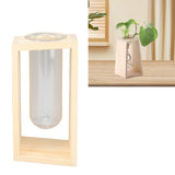 Glass Test Tube Plant Terrarium Multipurpose Innovative Hand Crafted Desktop Plant Terrarium for Hydroponic Plants Logs - Extra Image