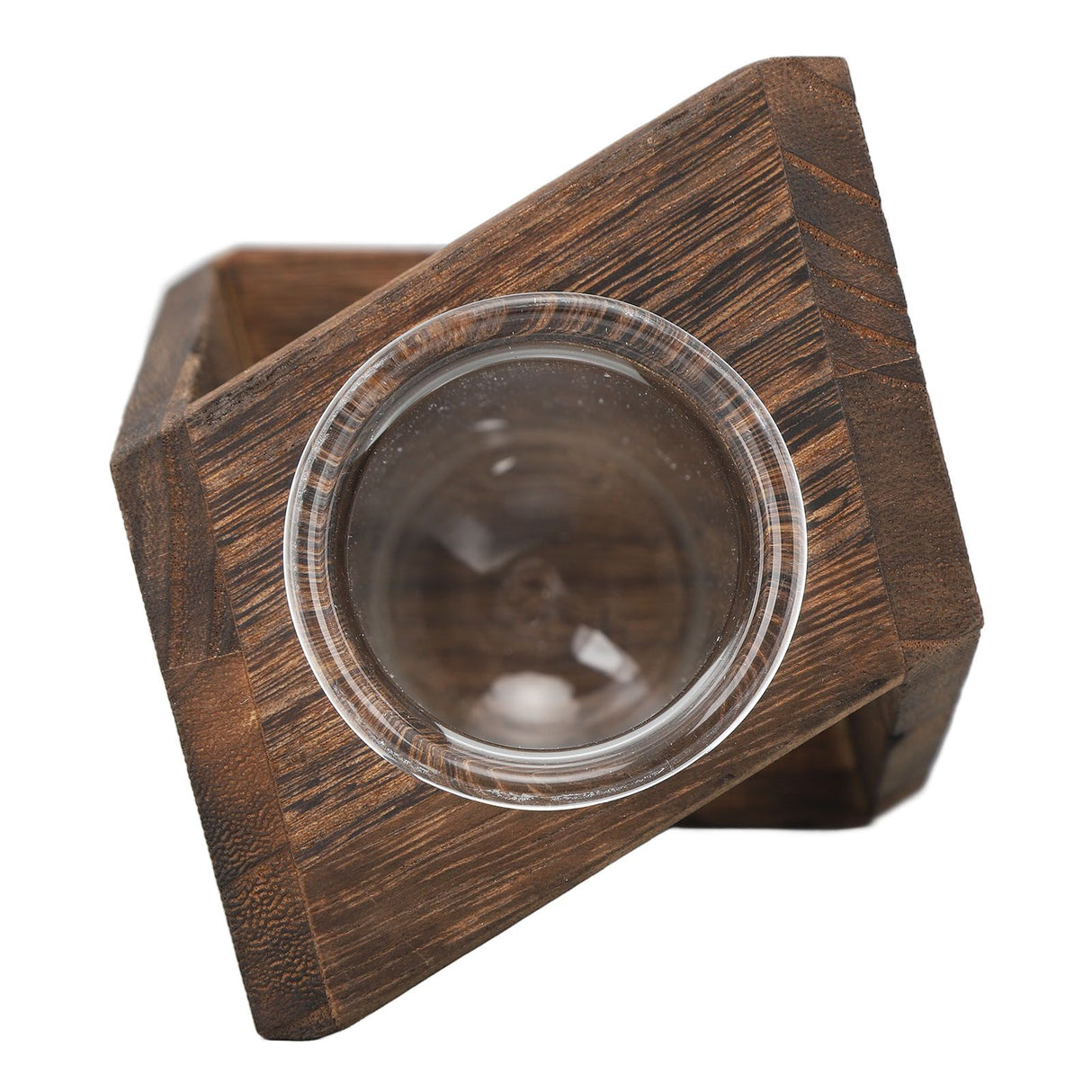 Glass Test Tube Plant Terrarium Multipurpose Innovative Hand Crafted Desktop Plant Terrarium for Hydroponic Plants Carbon Grill
