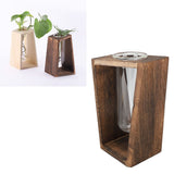 Glass Test Tube Plant Terrarium Multipurpose Innovative Hand Crafted Desktop Plant Terrarium for Hydroponic Plants Carbon Grill