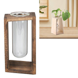 Glass Test Tube Plant Terrarium Multipurpose Innovative Hand Crafted Desktop Plant Terrarium for Hydroponic Plants Carbon Grill