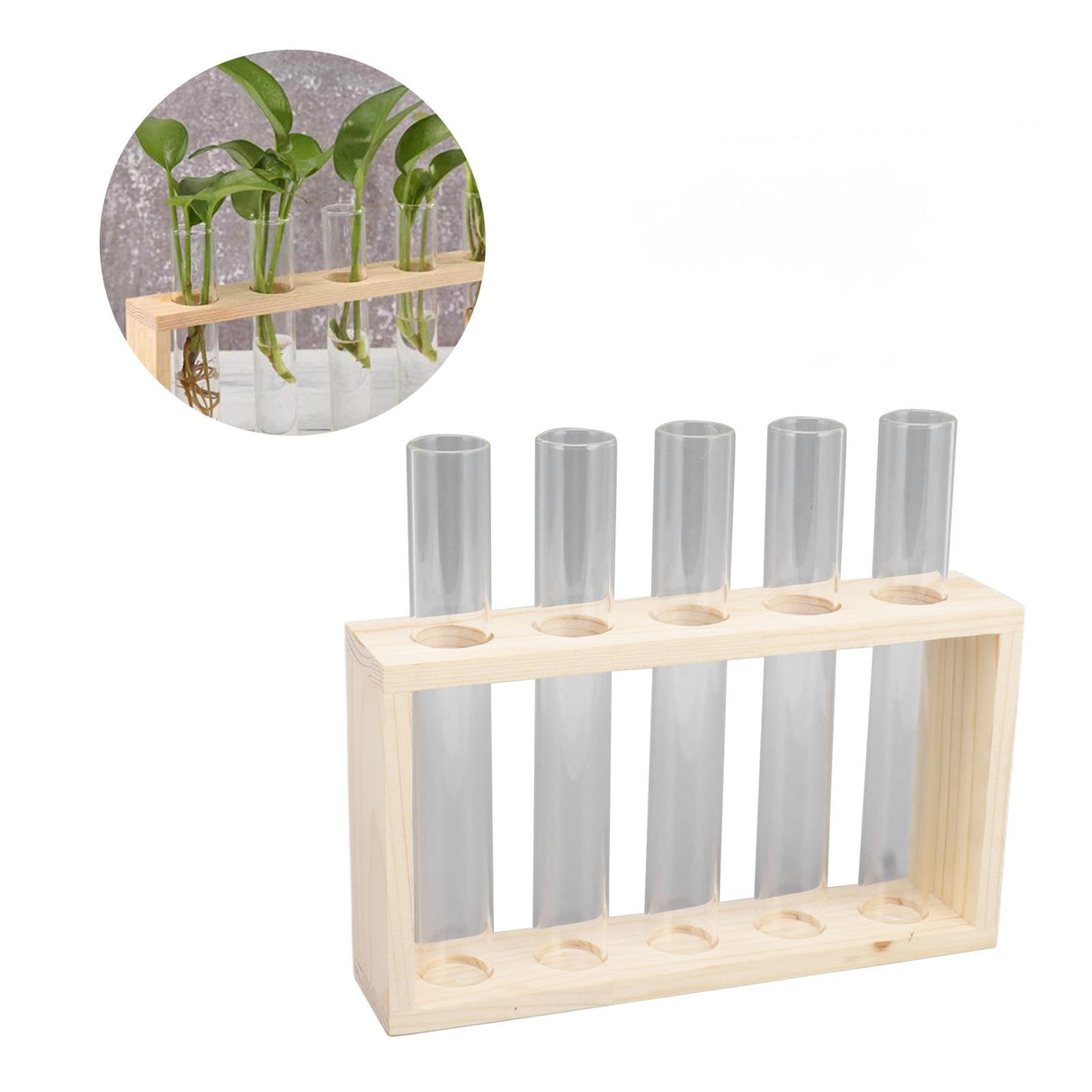 5 Test Tube Plant Terrarium Transparent Observe Growth Status Water Plant Holder with Wooden Stand for Herbs Log