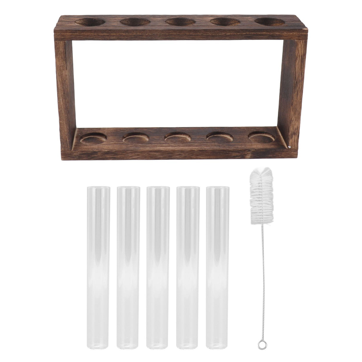 5 Test Tube Plant Terrarium Transparent Observe Growth Status Water Plant Holder with Wooden Stand for Herbs Carbon Color