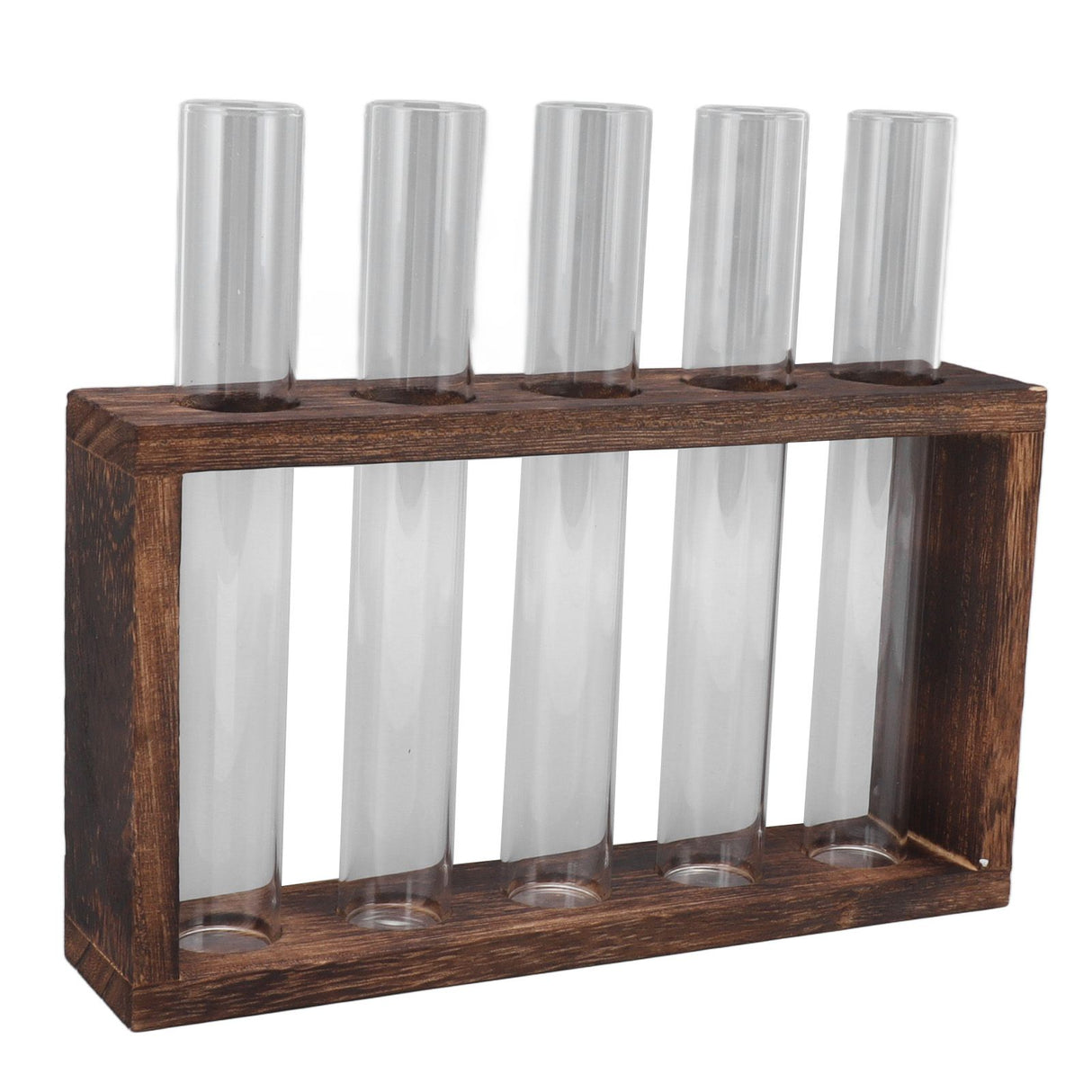 5 Test Tube Plant Terrarium Transparent Observe Growth Status Water Plant Holder with Wooden Stand for Herbs Carbon Color