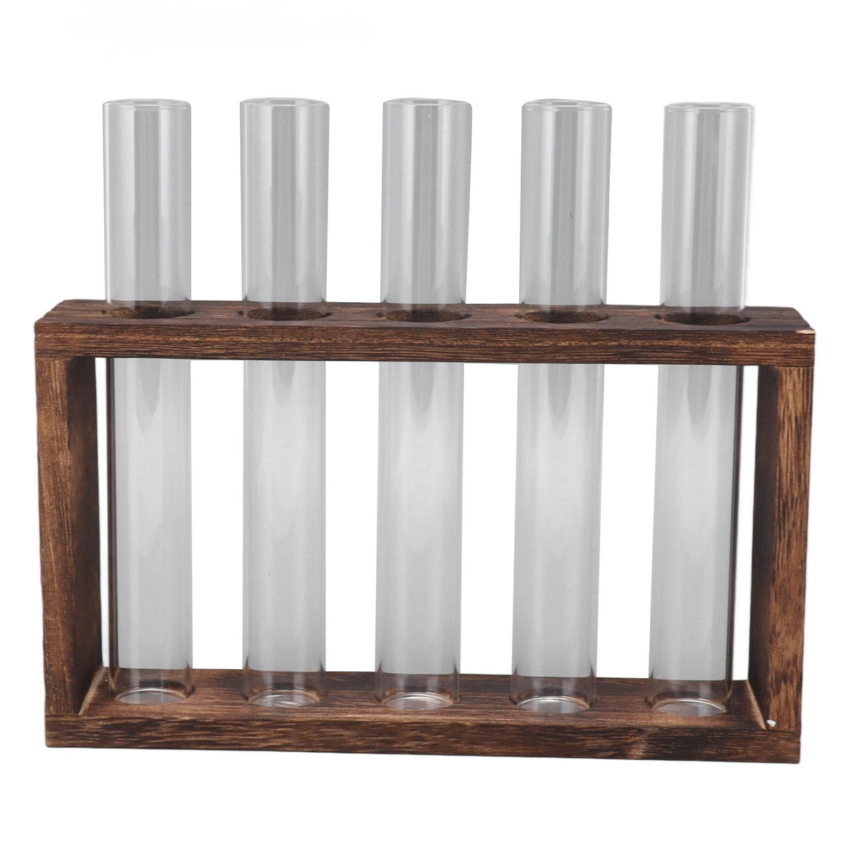 5 Test Tube Plant Terrarium Transparent Observe Growth Status Water Plant Holder with Wooden Stand for Herbs Carbon Color