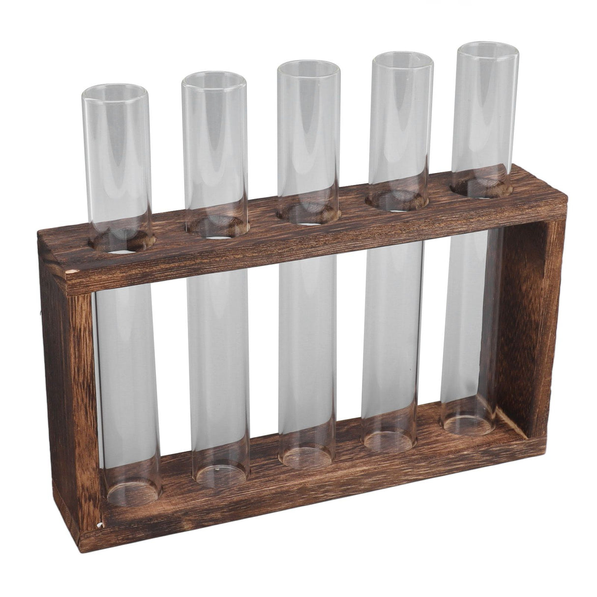 5 Test Tube Plant Terrarium Transparent Observe Growth Status Water Plant Holder with Wooden Stand for Herbs Carbon Color