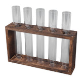 5 Test Tube Plant Terrarium Transparent Observe Growth Status Water Plant Holder with Wooden Stand for Herbs Carbon Color