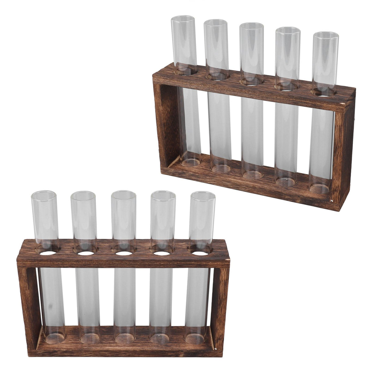 5 Test Tube Plant Terrarium Transparent Observe Growth Status Water Plant Holder with Wooden Stand for Herbs Carbon Color