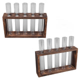 5 Test Tube Plant Terrarium Transparent Observe Growth Status Water Plant Holder with Wooden Stand for Herbs Carbon Color