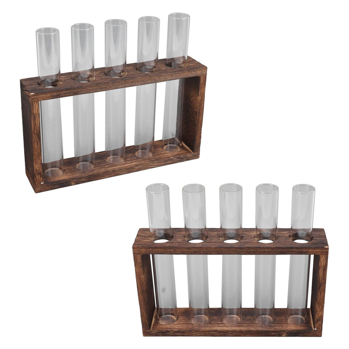 5 Test Tube Plant Terrarium Transparent Observe Growth Status Water Plant Holder with Wooden Stand for Herbs Carbon Color