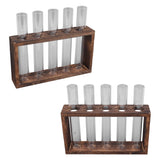 5 Test Tube Plant Terrarium Transparent Observe Growth Status Water Plant Holder with Wooden Stand for Herbs Carbon Color