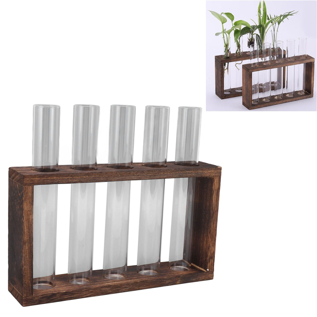 5 Test Tube Plant Terrarium Transparent Observe Growth Status Water Plant Holder with Wooden Stand for Herbs Carbon Color