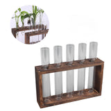5 Test Tube Plant Terrarium Transparent Observe Growth Status Water Plant Holder with Wooden Stand for Herbs Carbon Color