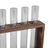 5 Test Tube Plant Terrarium Transparent Observe Growth Status Water Plant Holder with Wooden Stand for Herbs Carbon Color