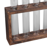 5 Test Tube Plant Terrarium Transparent Observe Growth Status Water Plant Holder with Wooden Stand for Herbs Carbon Color