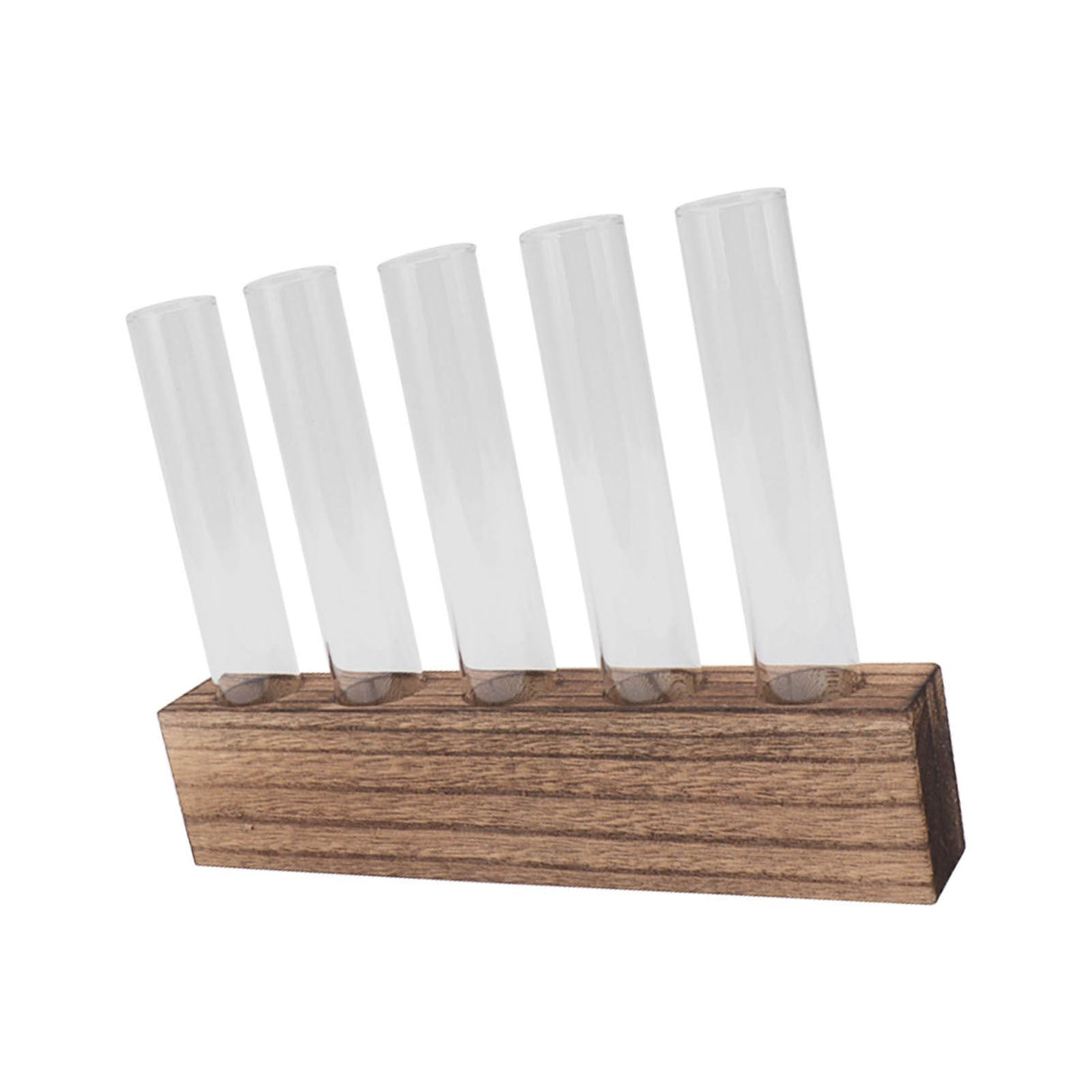 Glass Plant Propagation Station Plant Propagation Tubes Desktop Plant Terrarium With Wooden Stand Mini Test Tube Home Decor 5 Tubes