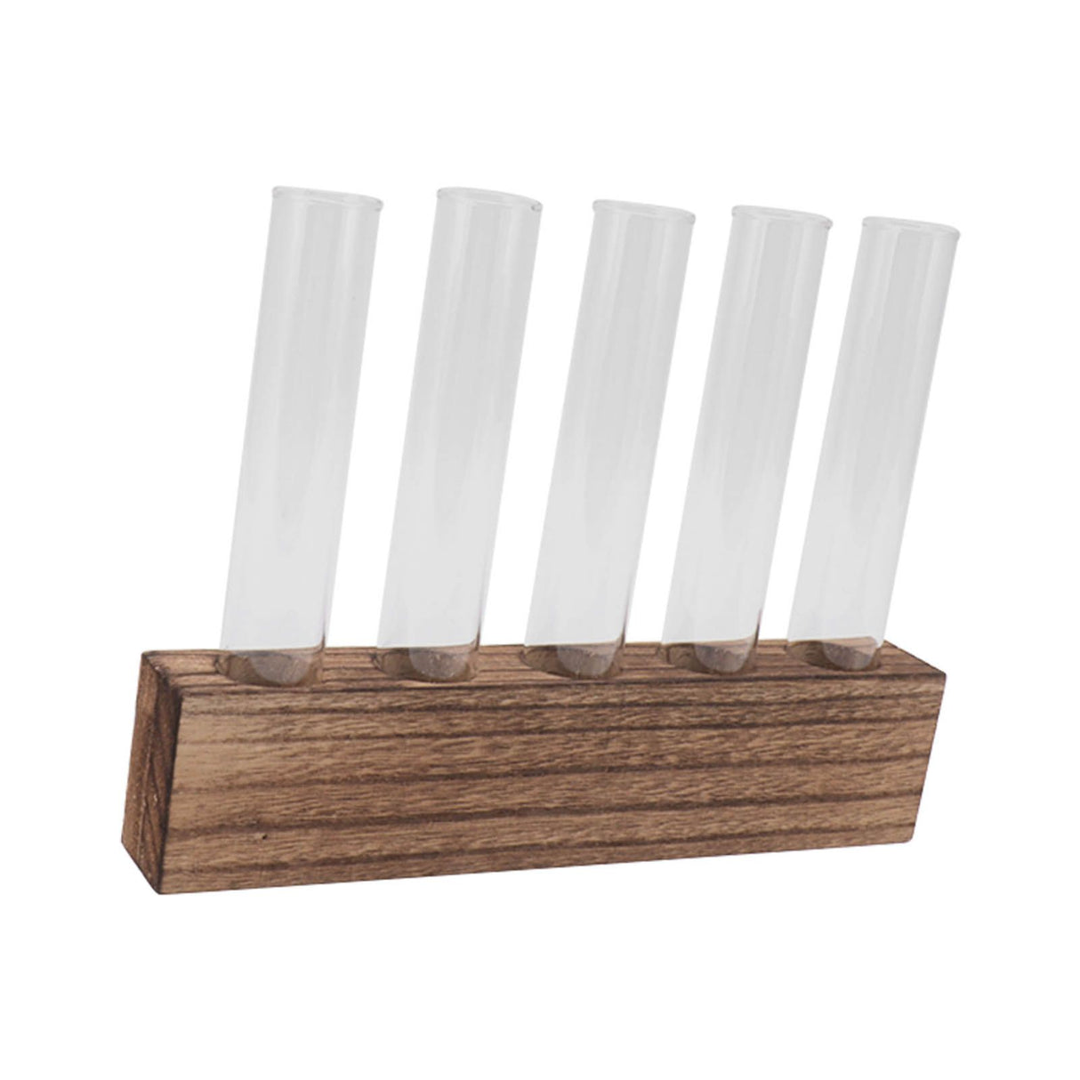Glass Plant Propagation Station Plant Propagation Tubes Desktop Plant Terrarium With Wooden Stand Mini Test Tube Home Decor 5 Tubes