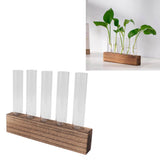 Glass Plant Propagation Station Plant Propagation Tubes Desktop Plant Terrarium With Wooden Stand Mini Test Tube Home Decor 5 Tubes - Extra Image