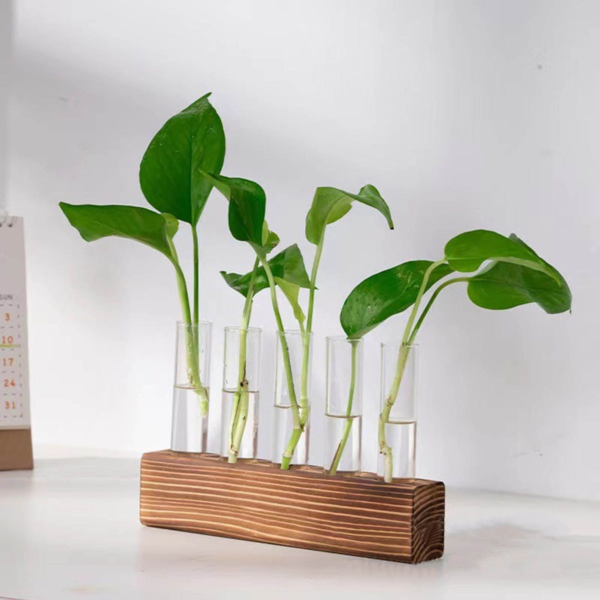 Glass Plant Propagation Station Plant Propagation Tubes Desktop Plant Terrarium With Wooden Stand Mini Test Tube Home Decor 5 Tubes