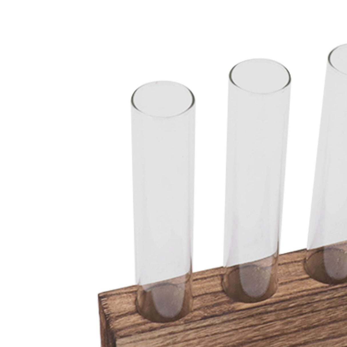 Glass Plant Propagation Station Plant Propagation Tubes Desktop Plant Terrarium With Wooden Stand Mini Test Tube Home Decor 5 Tubes