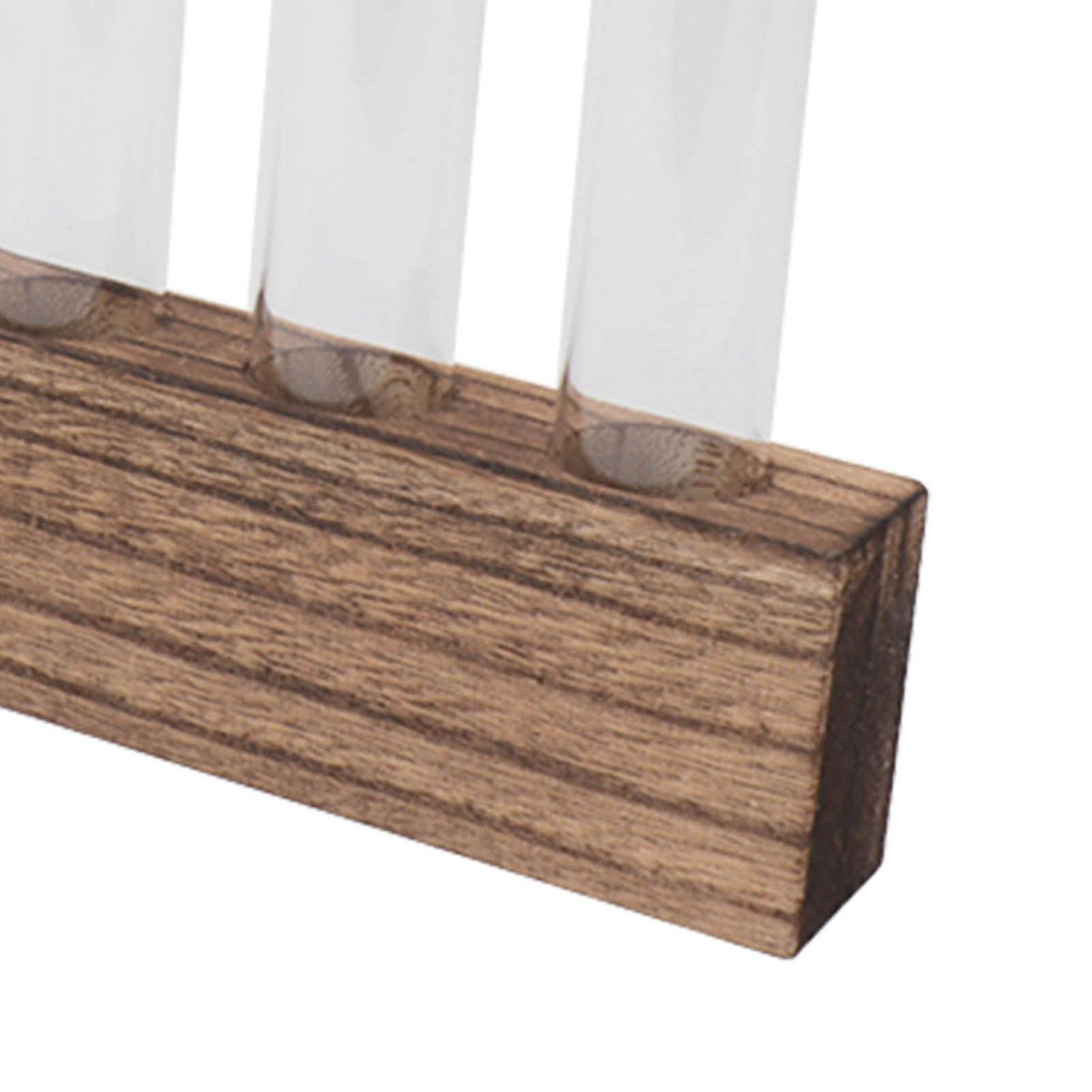 Glass Plant Propagation Station Plant Propagation Tubes Desktop Plant Terrarium With Wooden Stand Mini Test Tube Home Decor 5 Tubes